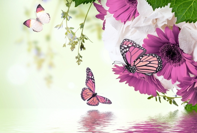Красивые картинки цветочки и бабочки019