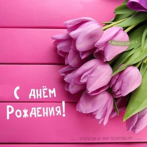 Красивые открытки с днем рождения с тюльпанами женщине028