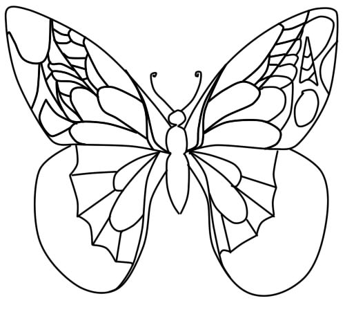 Красивые рисунки для срисовки бабочки 028