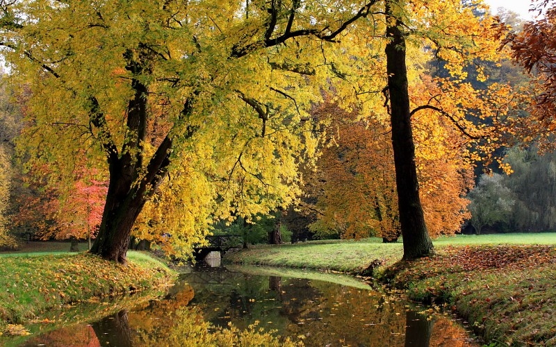 Красивые фото осень в красках   подборка003