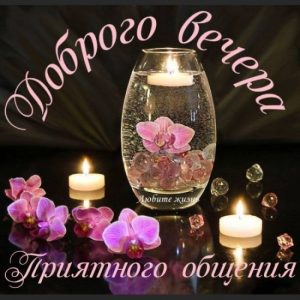 Красивые цветы добрый вечер   подборка027