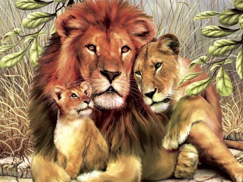 Лев и львенок картинки и фото 003