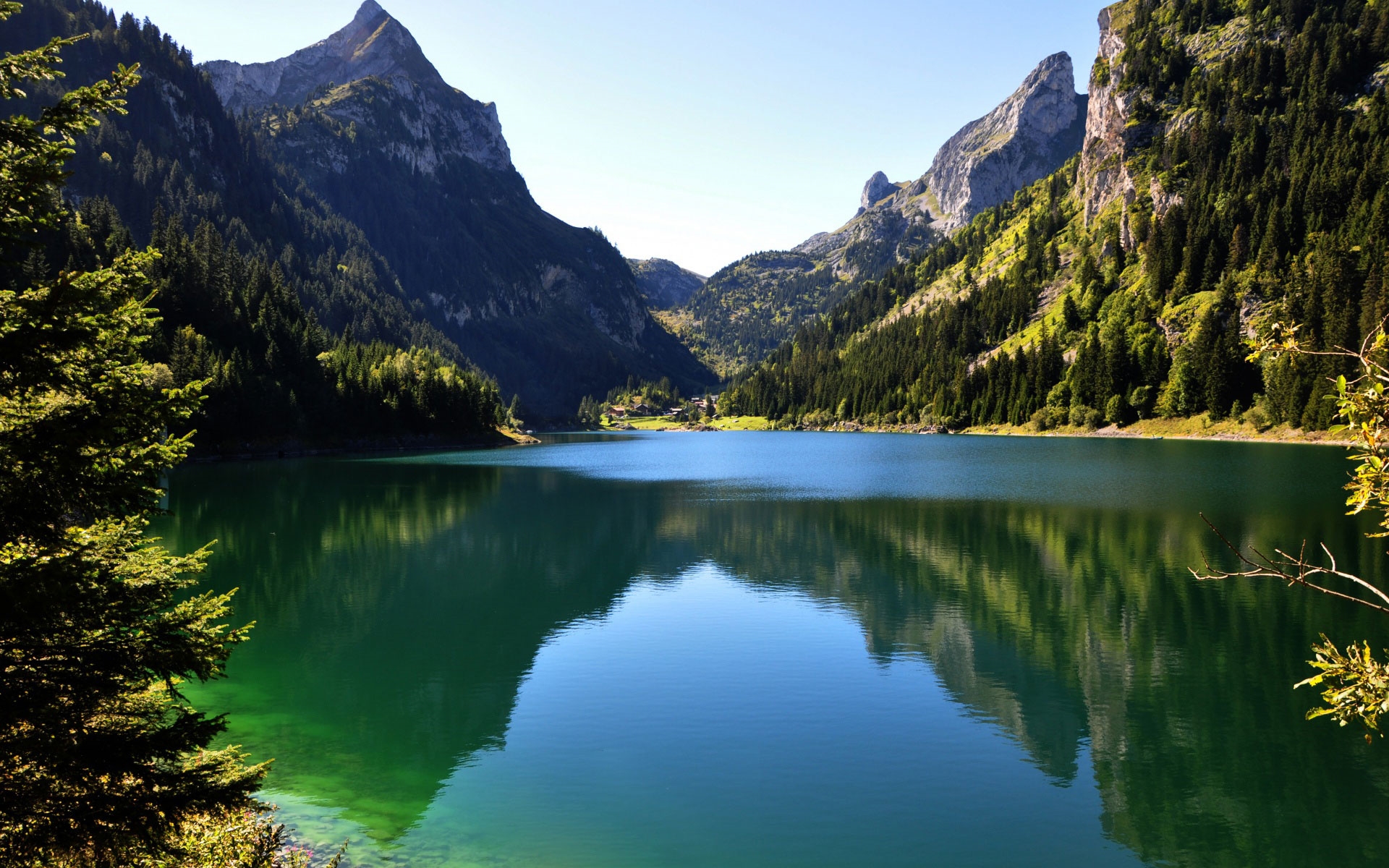 Картинки горы лес вода