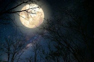 Луна на ночном небе   красивые фото023