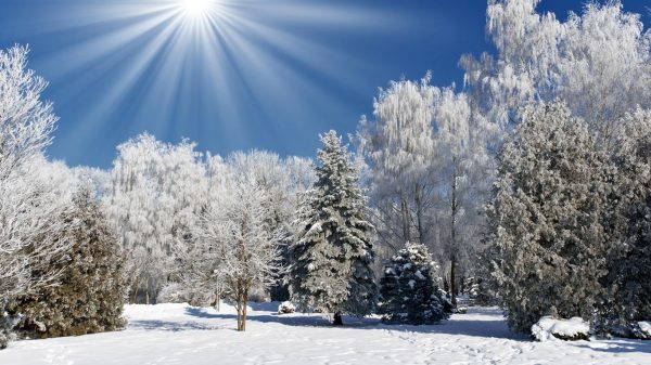 Заставки на ноут высокого качества