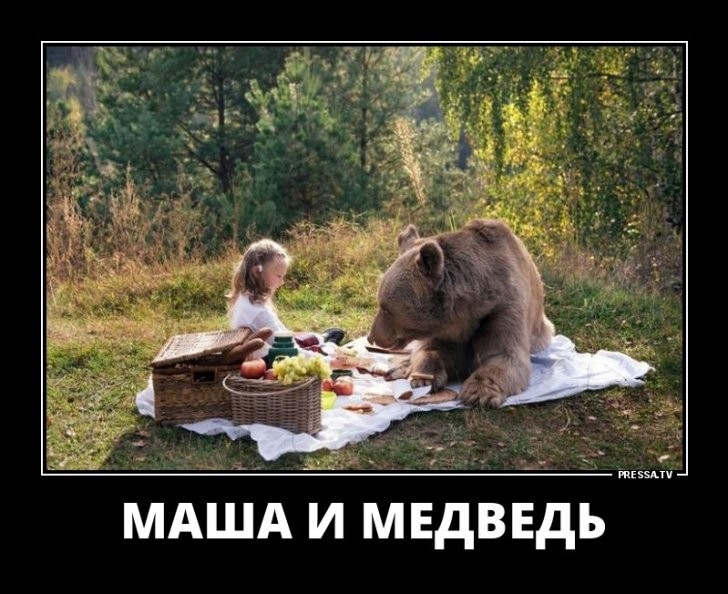 Маша и медведь демотиваторы   подборка 022