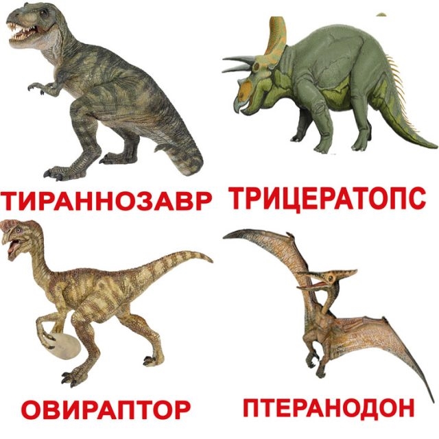 Названия динозавров и фото   подборка 002