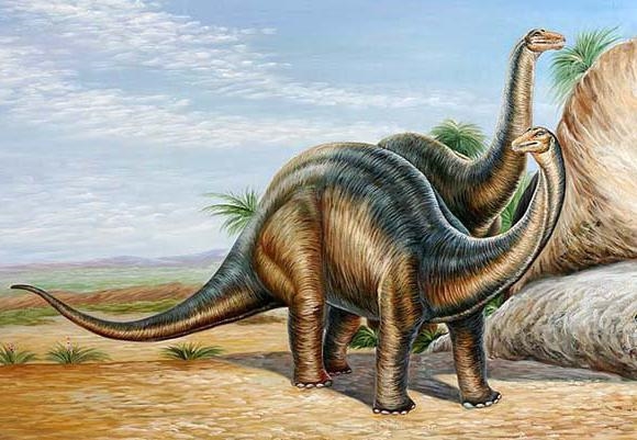 Названия динозавров и фото   подборка 003