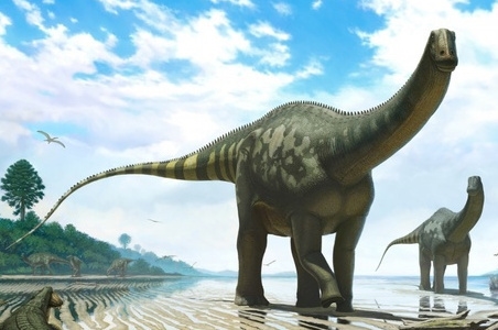 Названия динозавров и фото   подборка 016