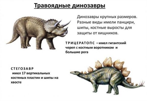 Динозавры юрского периода названия с картинками