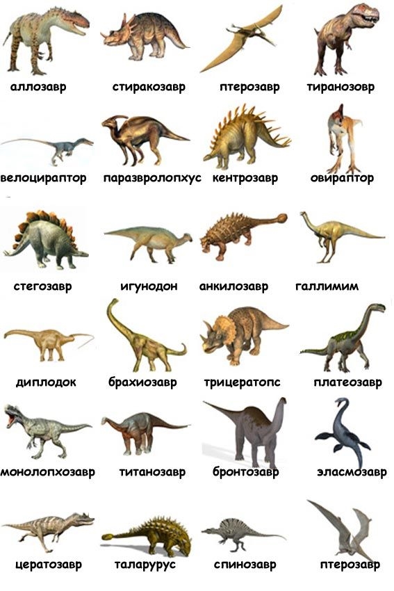 Названия динозавров и фото   подборка 024
