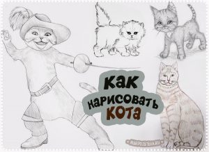 Нарисованные коты картинки карандашом 021