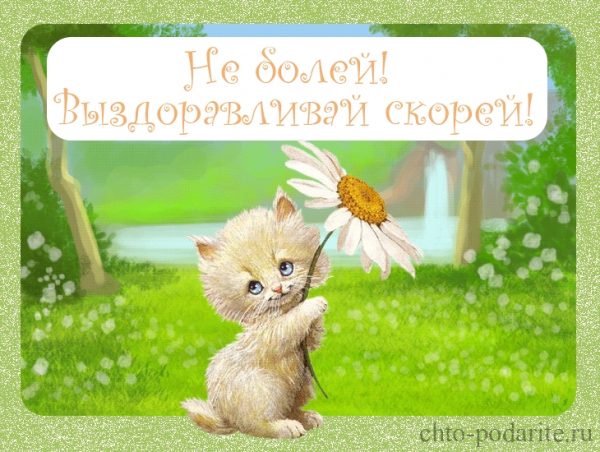 Котенок не болей картинки