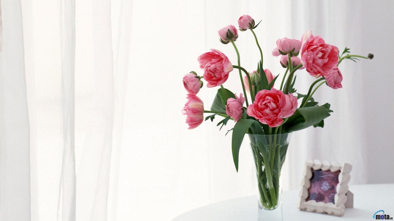 Обои цветы в вазе для рабочего стола   подборка (25)