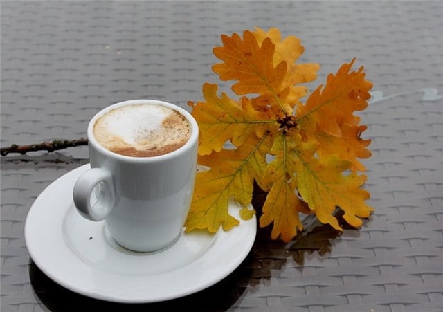 Осенний букет и кофе   подборка фото020
