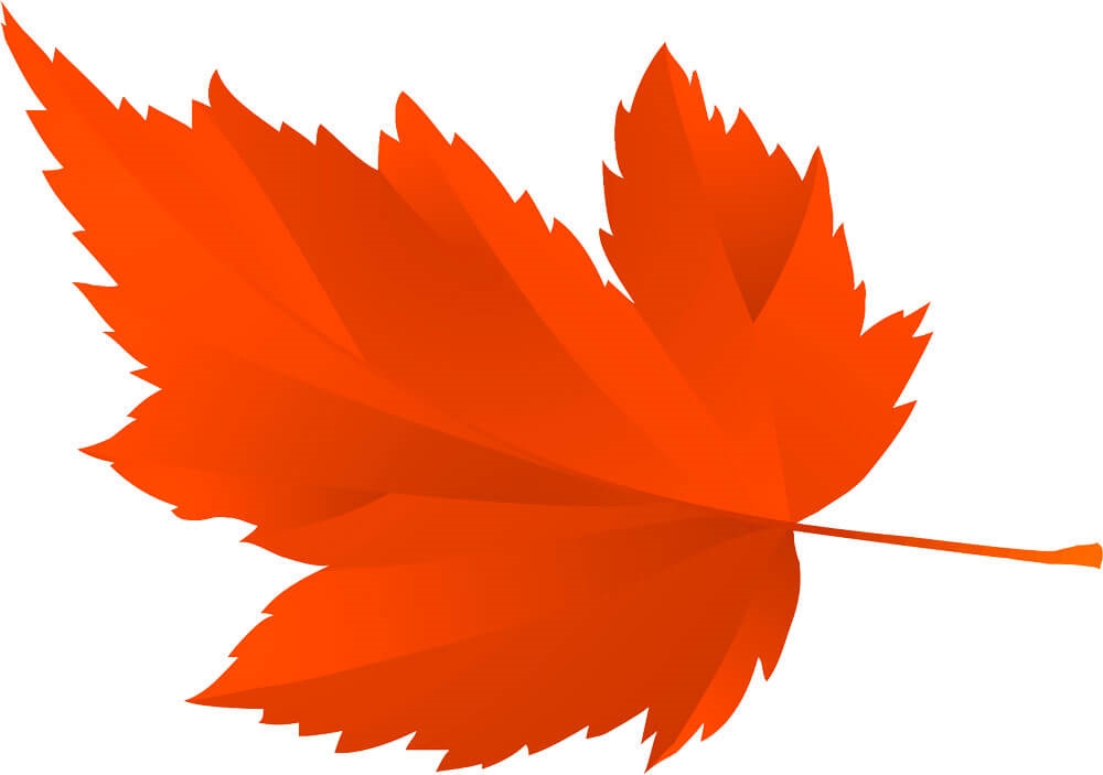 Осенний рисунок с листьями   подборка010