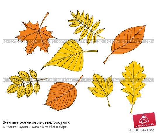 Осенний рисунок с листьями   подборка019