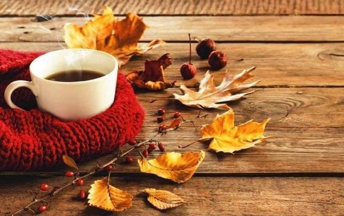 Осень чашка кофе фото   подборка 019