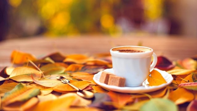 Осень чашка кофе фото   подборка 024