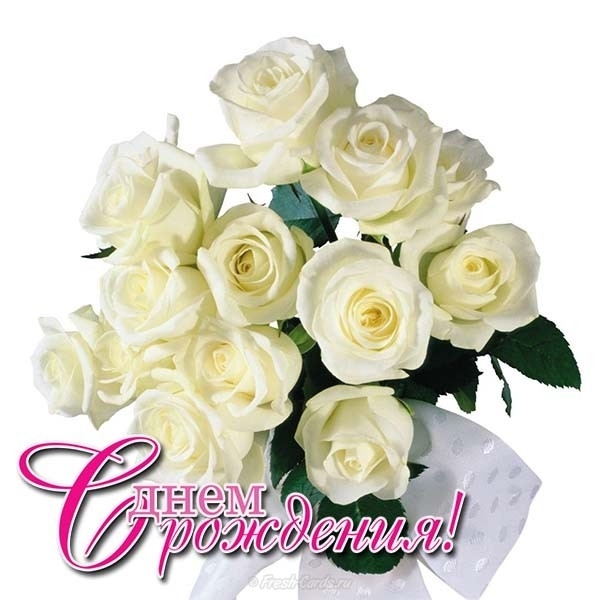 Открытка с днем рождения с розами белыми   подборка 001