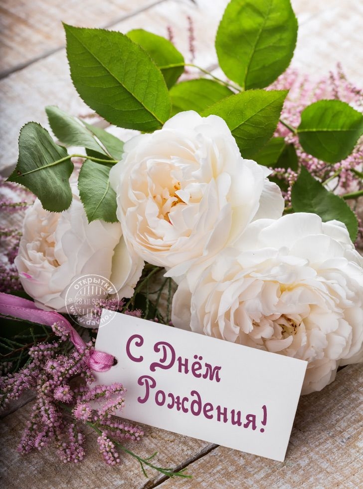 открытки белые розы с днем рождения