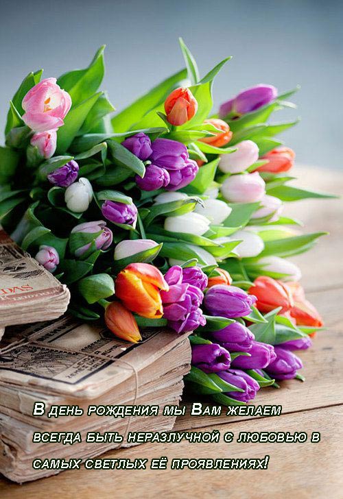 Открытки с Днем Рождения женщине с тюльпанами   картинки (10)