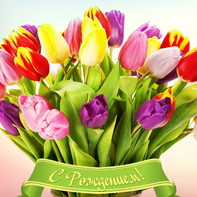 Открытки с Днем Рождения женщине с тюльпанами   картинки (3)