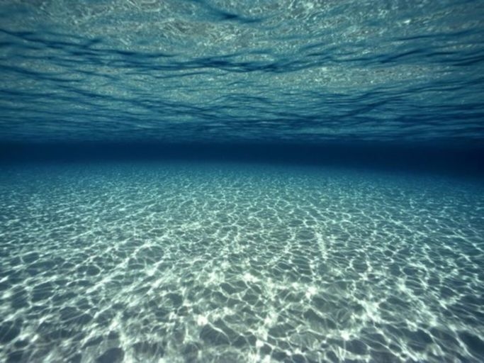 Под водой в океане фото 001