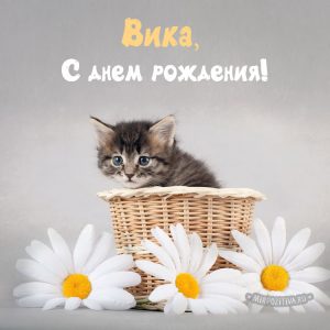 Поздравления с Днем Рождения для Вики   прикольные и красивые (50)