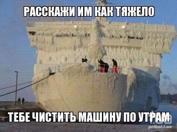 Холодно картинки прикольные смешные