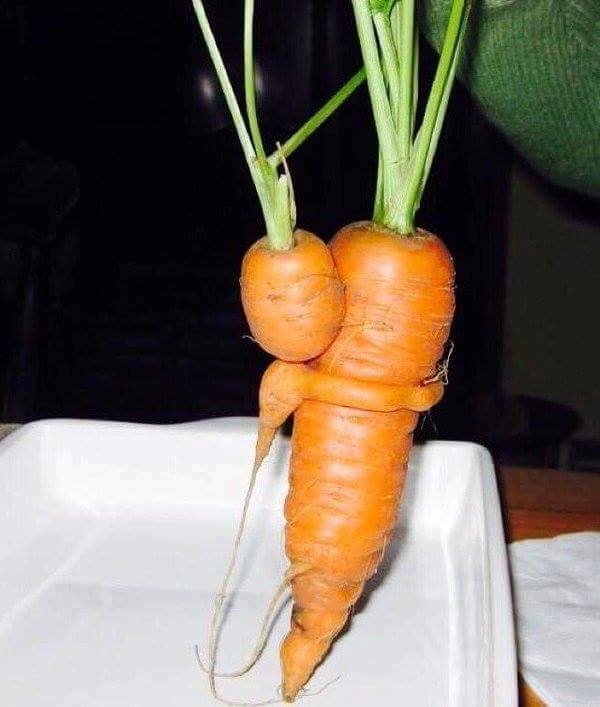 Прикольные картинки смешная морковка 012