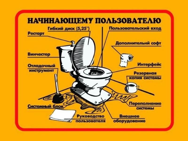 Картинки для туалета на дверь прикольные мультяшные