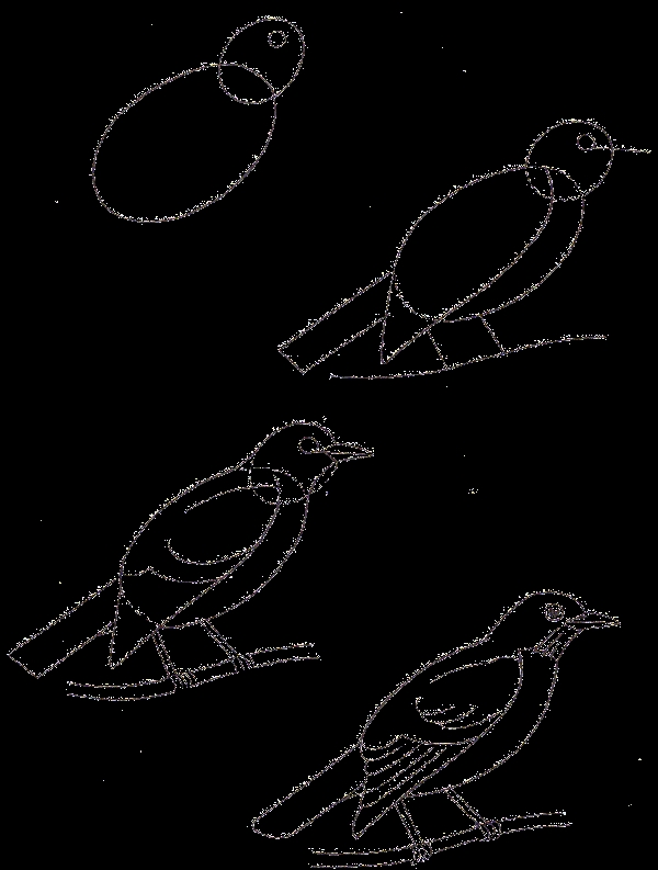 Рисуем перелетных птиц с детьми   рисунки 017