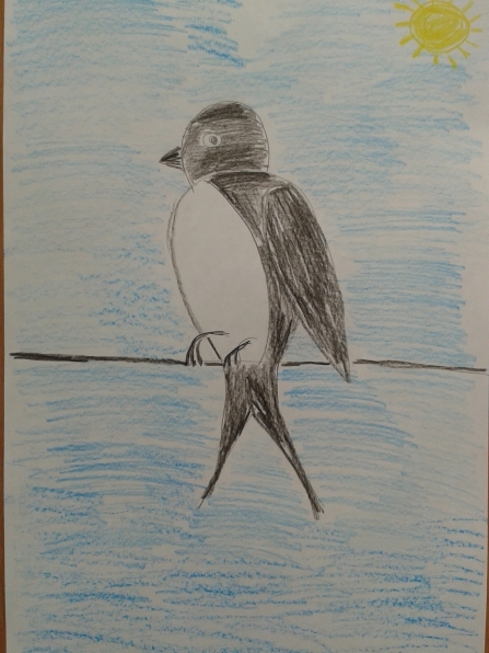 Рисуем перелетных птиц с детьми   рисунки 018