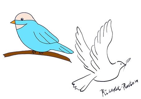 Рисуем перелетных птиц с детьми   рисунки 019