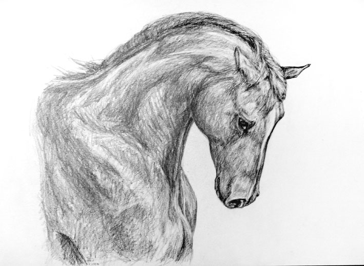Рисунок девушка на лошади   подборка 015
