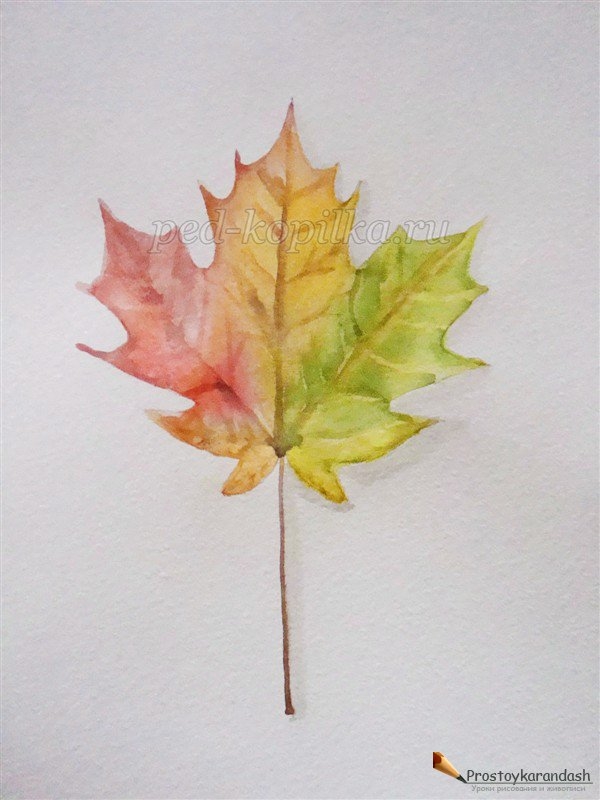 Рисунок карандашом осень листья 020
