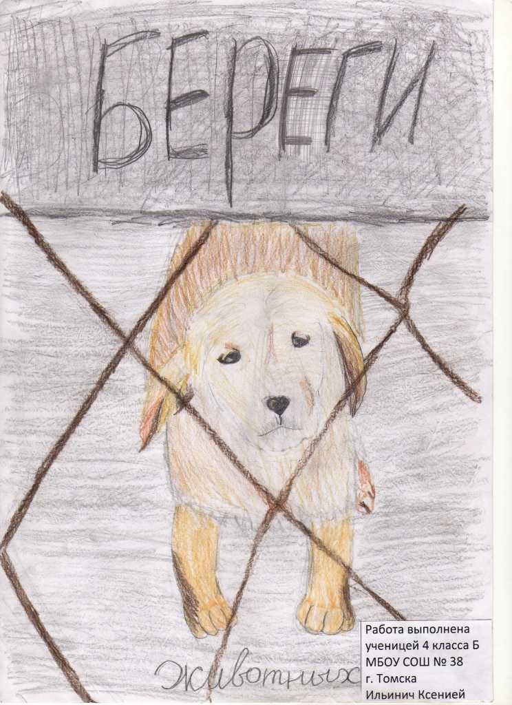 Рисунок на тему помощь бездомным животным