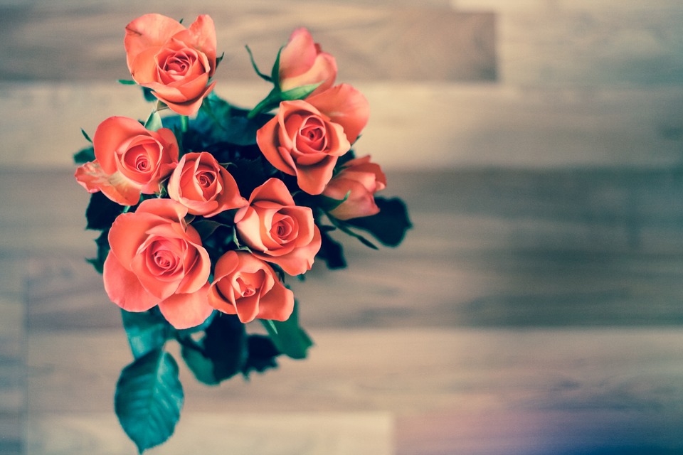 Розы для вас фото   удивительная подборка 007