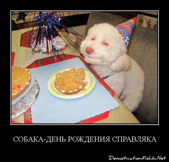С днем рождения фото собаки   подборка 013