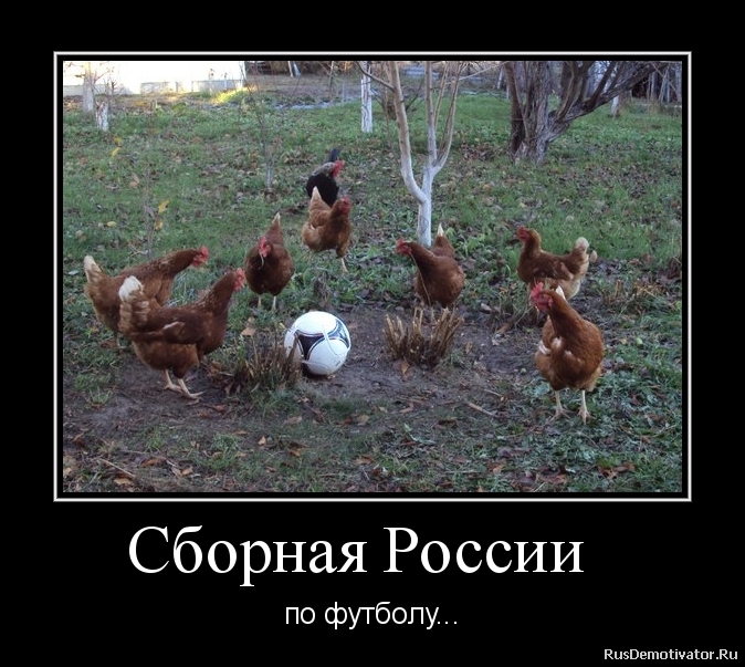Сборная России по футболу демотиваторы 001