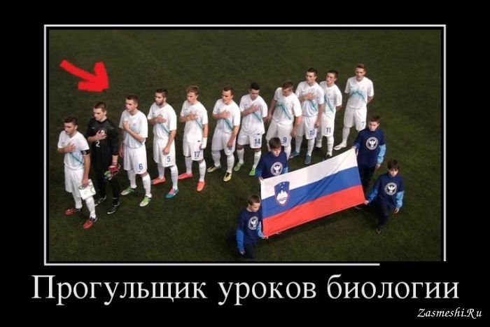 Сборная России по футболу демотиваторы 011