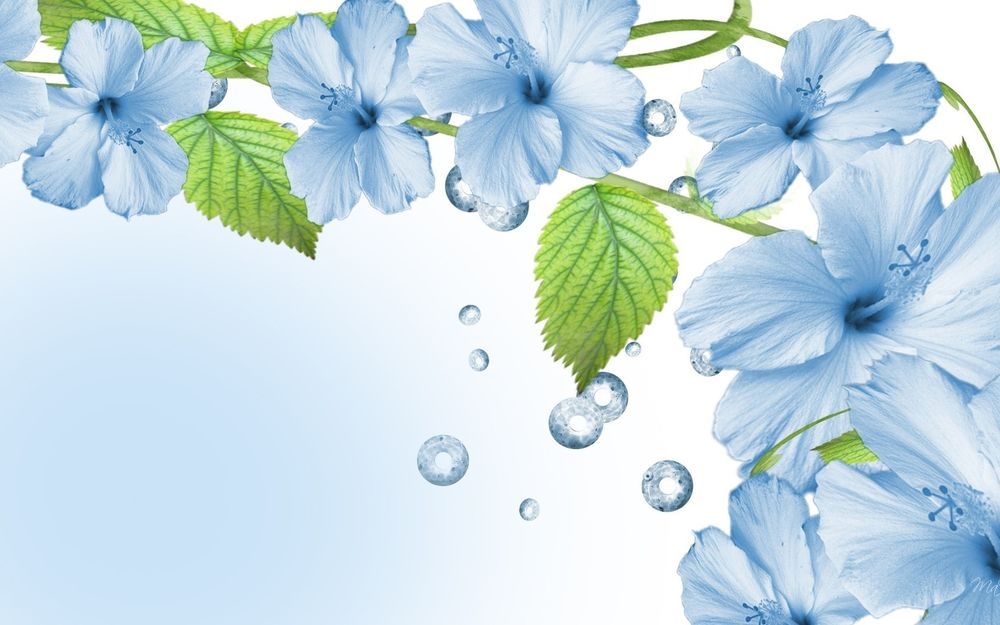 Синие цветы на белом фоне   фото 004