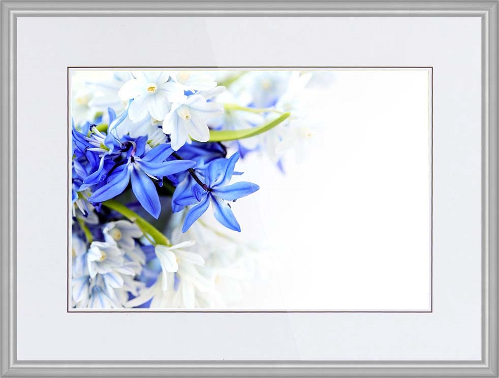 Синие цветы на белом фоне   фото 013