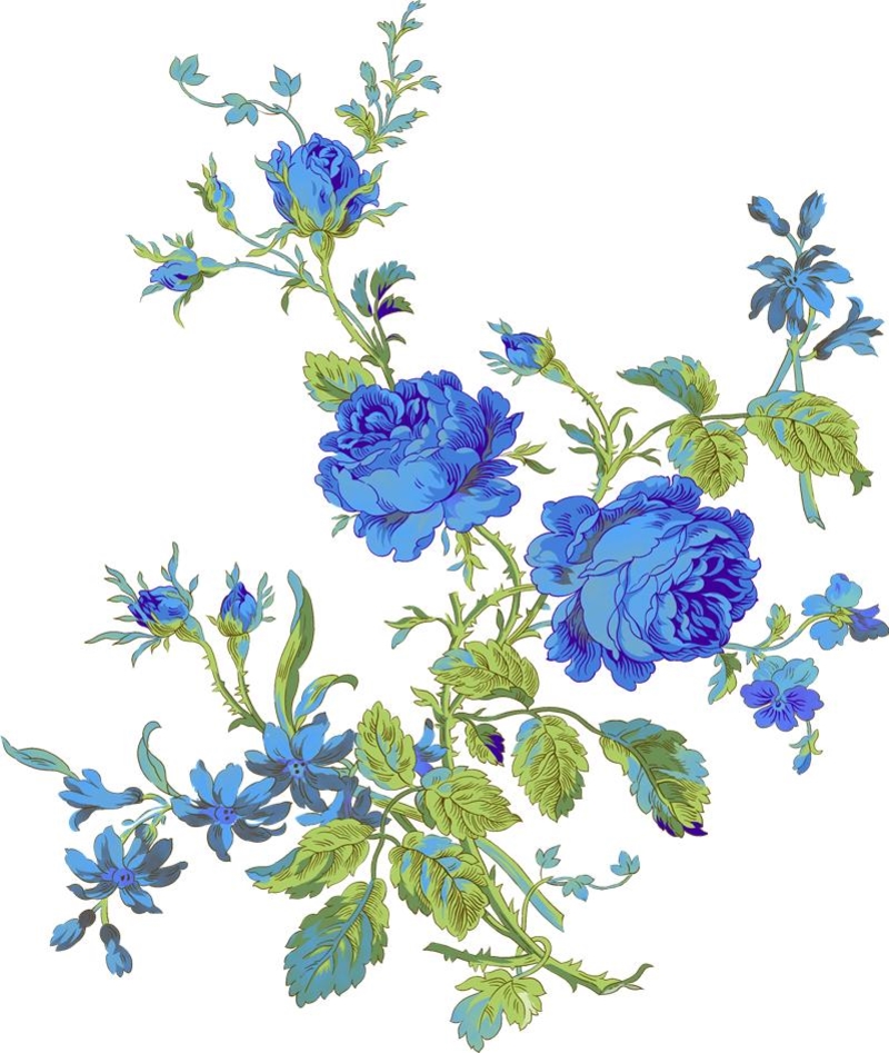 Синие цветы на белом фоне   фото 015