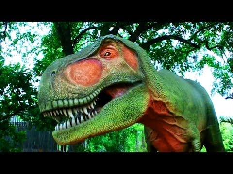 Смотреть фото динозавров настоящих   коллекция 014