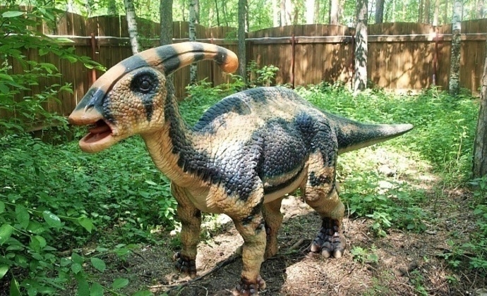 Смотреть фото динозавров настоящих   коллекция 020