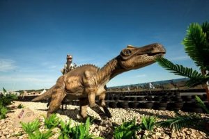 Смотреть фото динозавров настоящих   коллекция 025