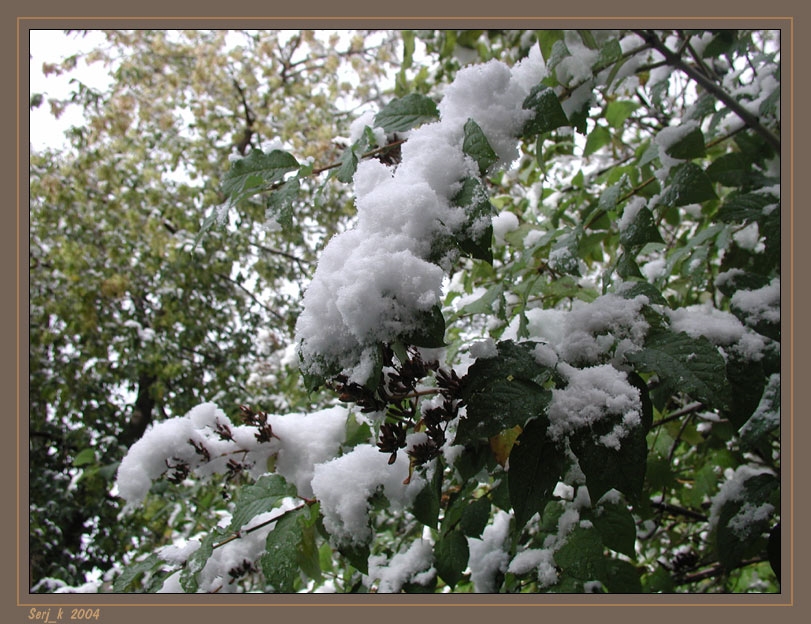 Снег в сентябре картинки и фото 017