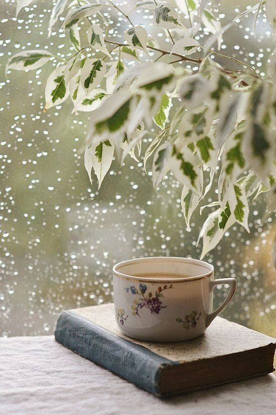 Фото дождь и кофе   красивые картинки019